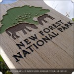 New Forest National Park