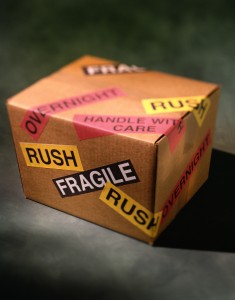 Fragile cargo - peace of mind with SFS