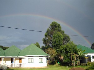 Rainbow-(2)