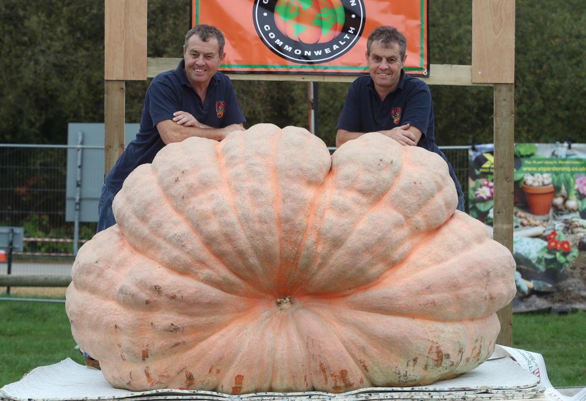 Giant Pumpkin